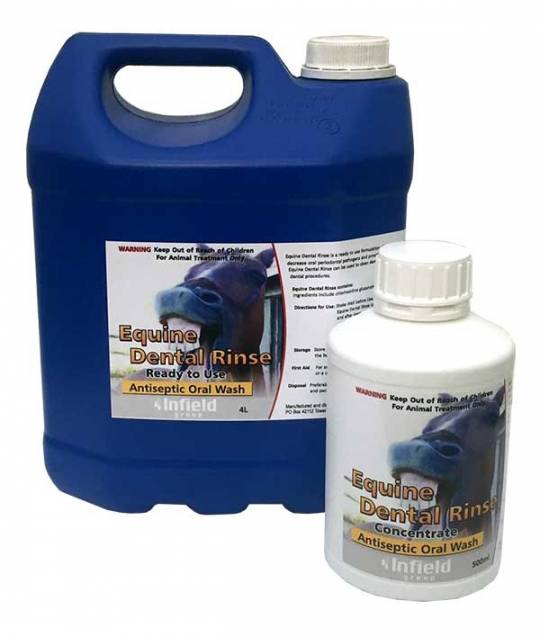 Equine Dental Rinse