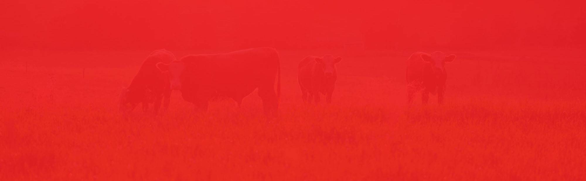 Testimonials Background