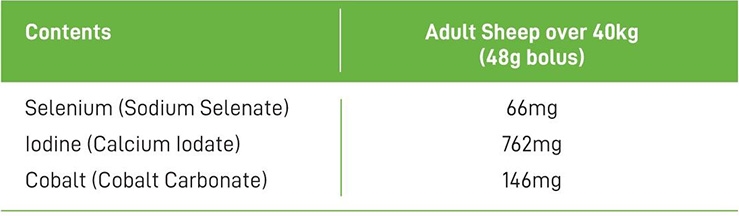 Smartrace Adult Sheep Datasheet